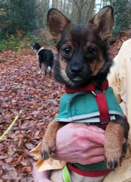 Astri unsere Minimaus