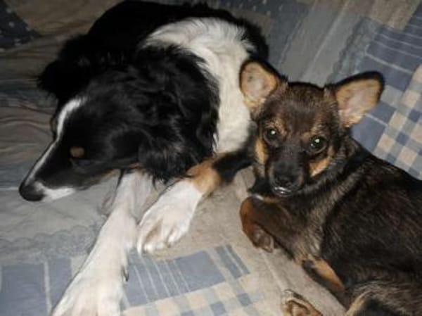 Astri unsere Minimaus