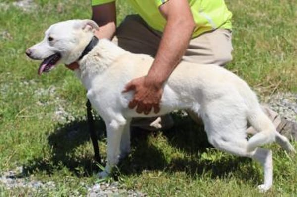 Manü - kinderlieb u. verspielt