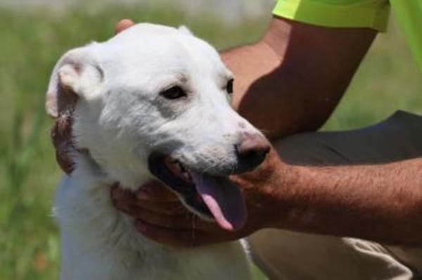 Manü - kinderlieb u. verspielt