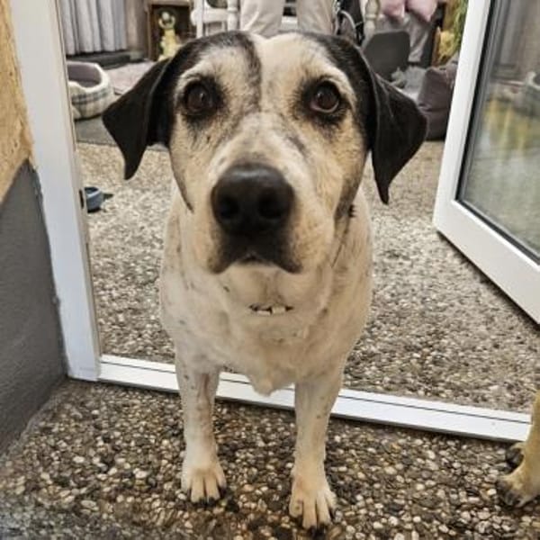 Dona eine liebe Knutschkugel