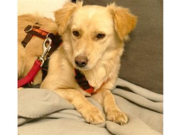 Argyro  wartet in 97440 Werneck