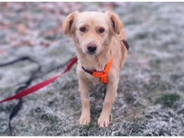 Argyro  wartet in 97440 Werneck