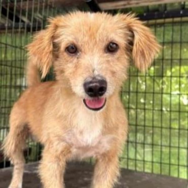 Krümelchen, unser Herzensbrecher