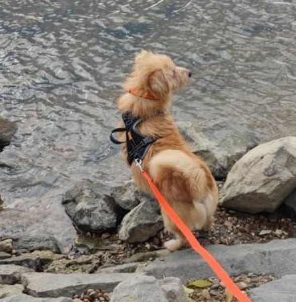 Krümelchen, unser Herzensbrecher