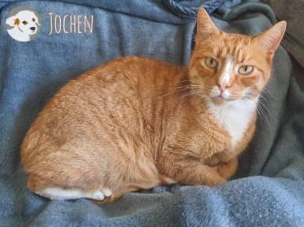 Jochen sucht ruhige gefühlvolle Menschen