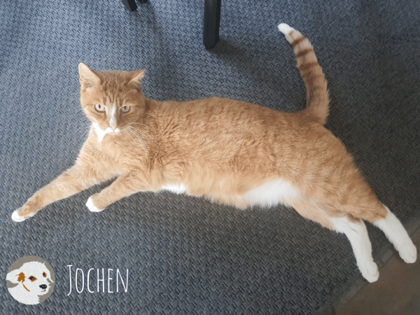 Jochen sucht ruhige gefühlvolle Menschen