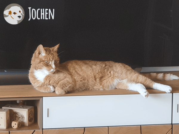 Jochen sucht ruhige gefühlvolle Menschen