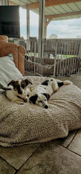 Sanfte anhängliche NANE