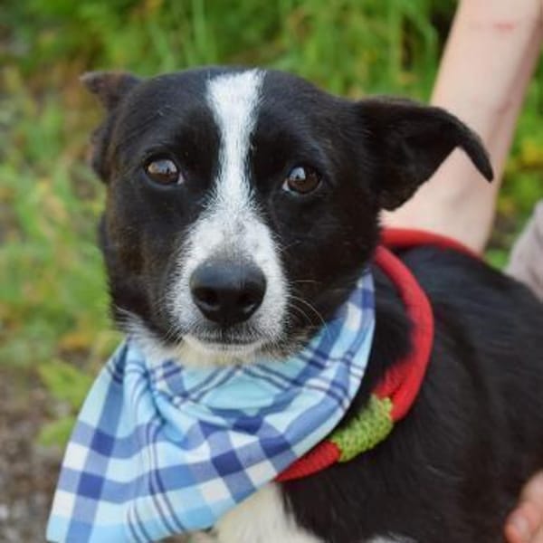 Anatoli wartet auf PS in HH!