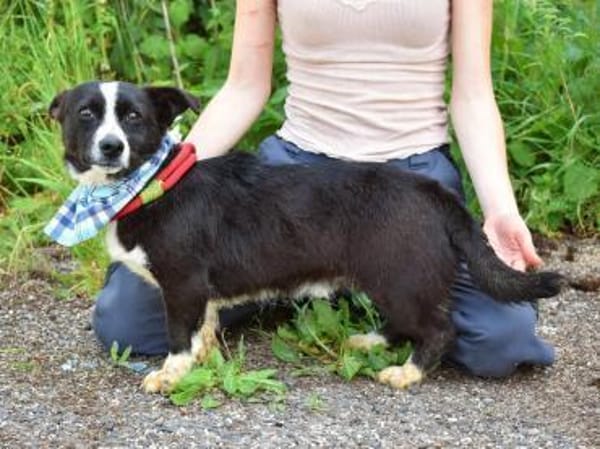 Anatoli wartet auf PS in HH!