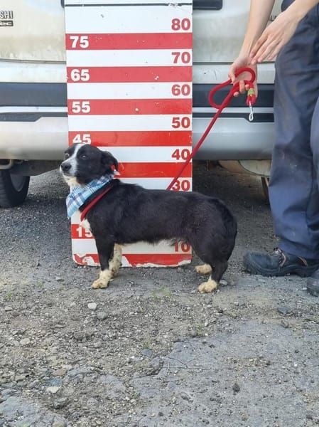 Anatoli wartet auf PS in HH!