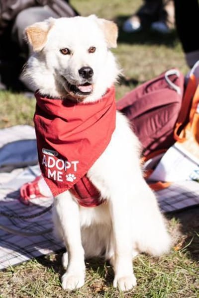 Cindy 💗 wartet in 12529 Schönefeld