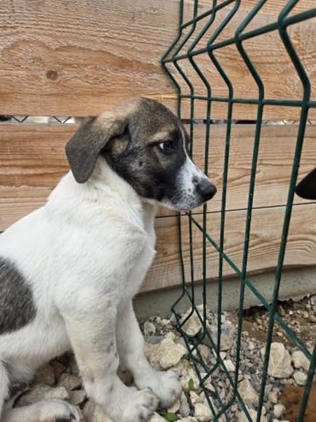 Paul - 68794 Oberhausen-Rheinhausen