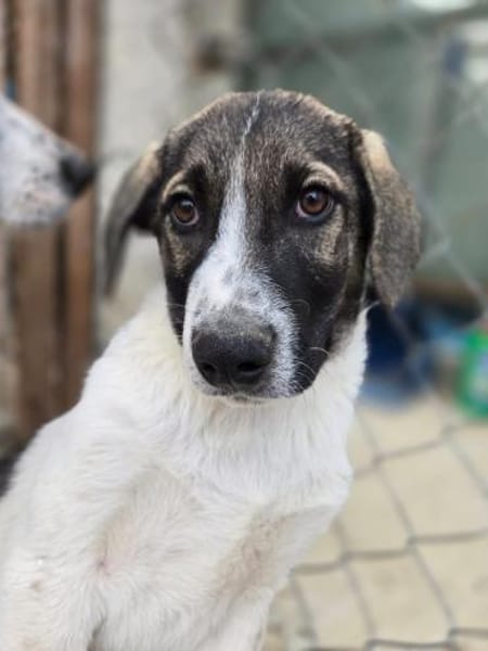 Paul - 68794 Oberhausen-Rheinhausen