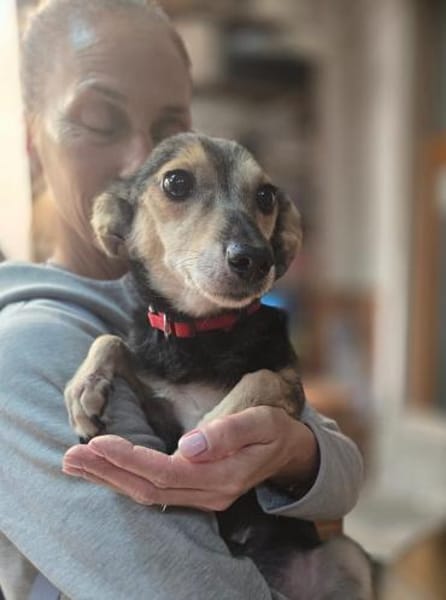 kleine Zoe - 76661 Philippsburg