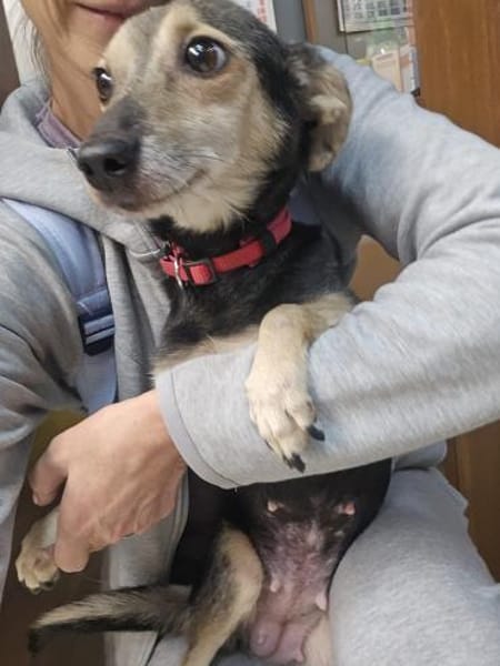 kleine Zoe - 76661 Philippsburg