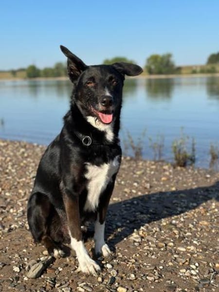 BONO SUCHT ERNEUT NACH EINEM ZUHAUSE
