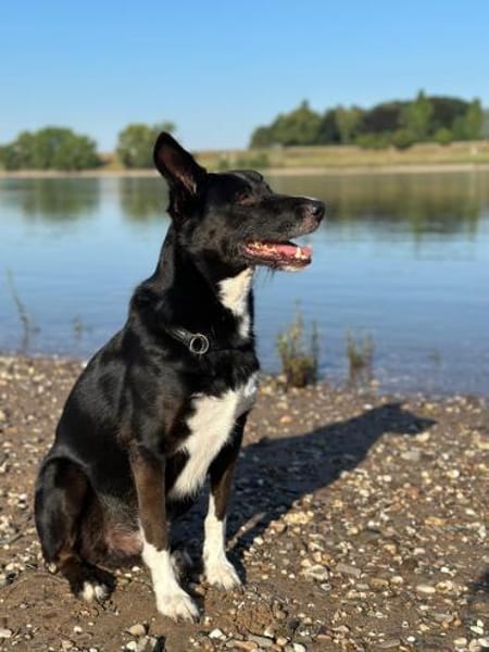 BONO SUCHT ERNEUT NACH EINEM ZUHAUSE