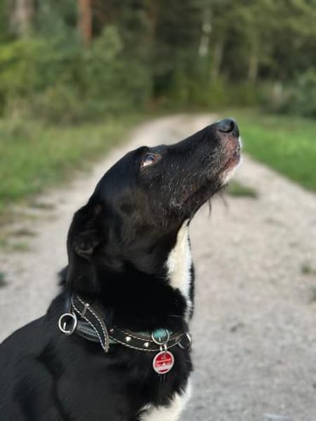 BONO SUCHT ERNEUT NACH EINEM ZUHAUSE