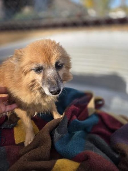 Lotti kleine Oma - 76661 Philippsburg