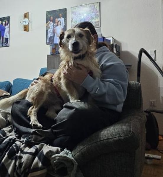 Bary - in Nürnberg auf Pflegestelle