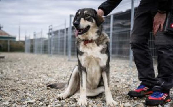 Aufgeschlossene und entspannte Alisea