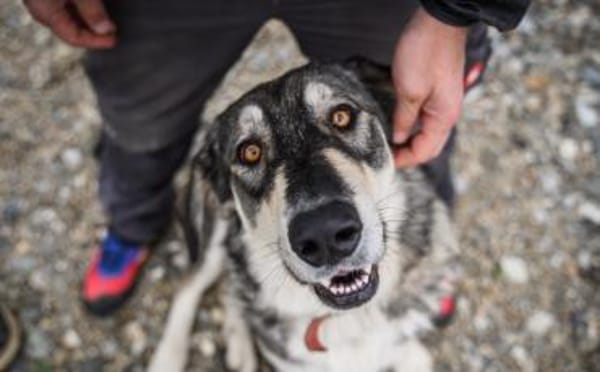 Aufgeschlossene und entspannte Alisea