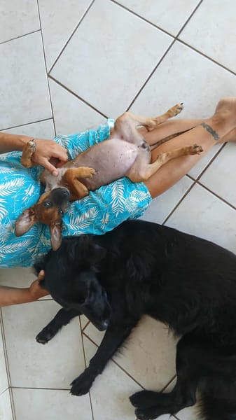 TANINA la malicieuse