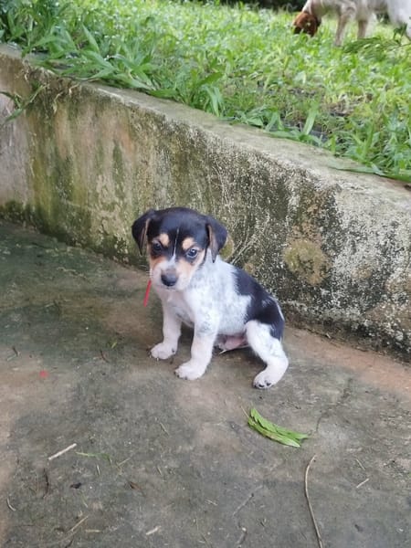 Tiago, bébé rigolo