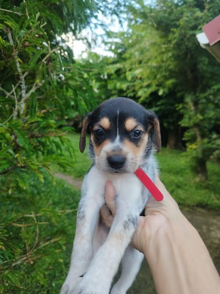 Tiago, bébé rigolo