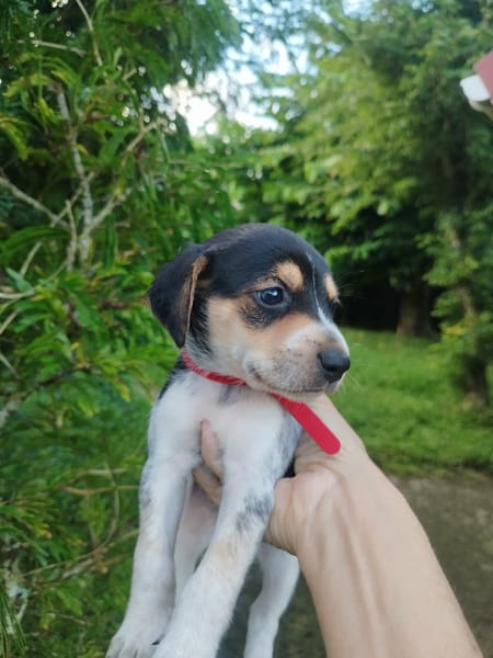 Tiago, bébé rigolo