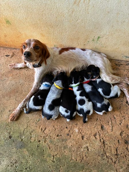 Tiago, bébé rigolo