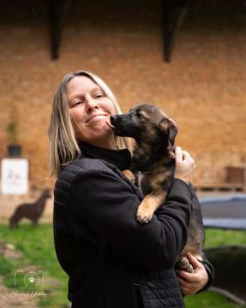 RAVI * hinreißender Prinz vom Hof