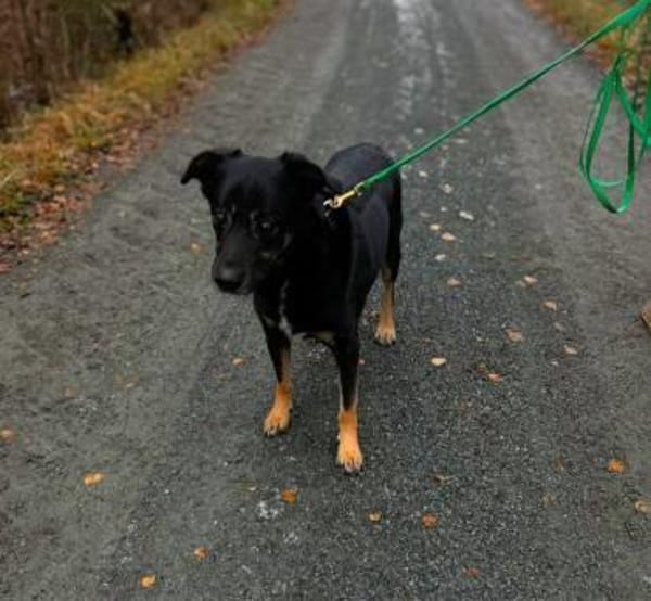 Buddy wurde bisher nur rum gereicht