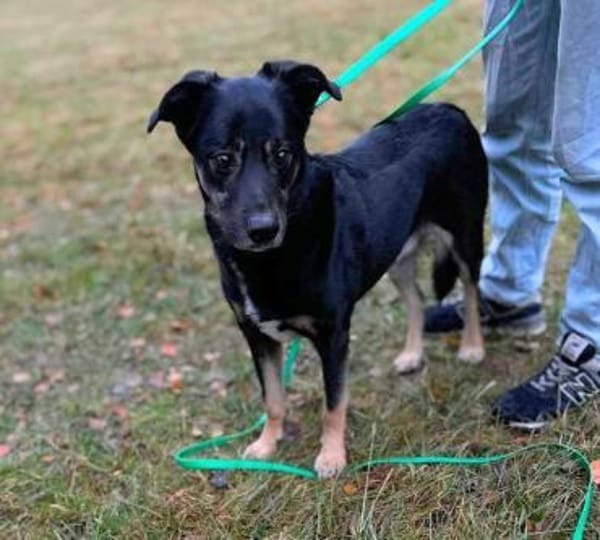 Buddy wurde bisher nur rum gereicht