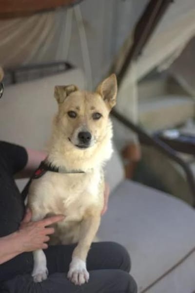 GINA - ein Sonnenschein!