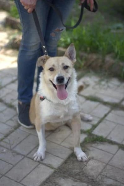 GINA - ein Sonnenschein!