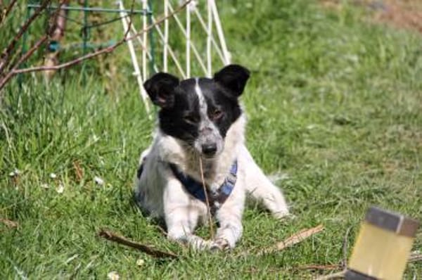 ALICE - sucht ihr Wunderland!