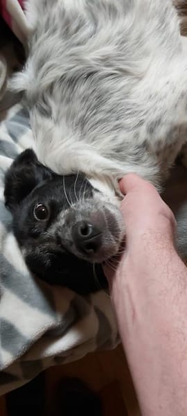 ALICE - sucht ihr Wunderland!