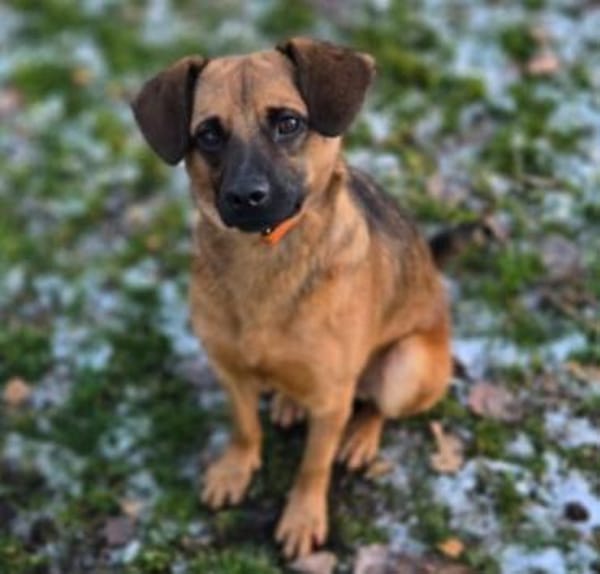 HARRY möchte die Welt erkunden