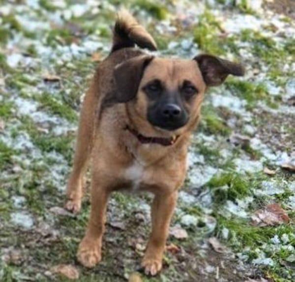 HARRY möchte die Welt erkunden