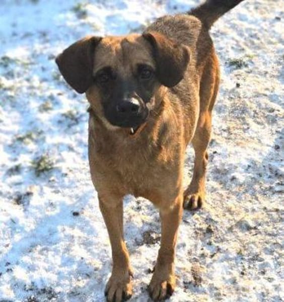 HARRY möchte die Welt erkunden