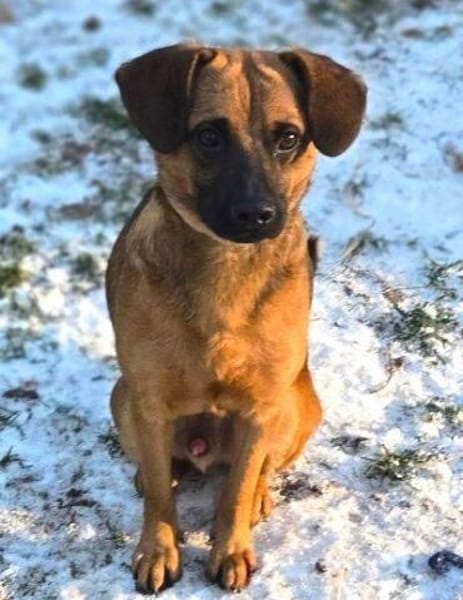 HARRY möchte die Welt erkunden