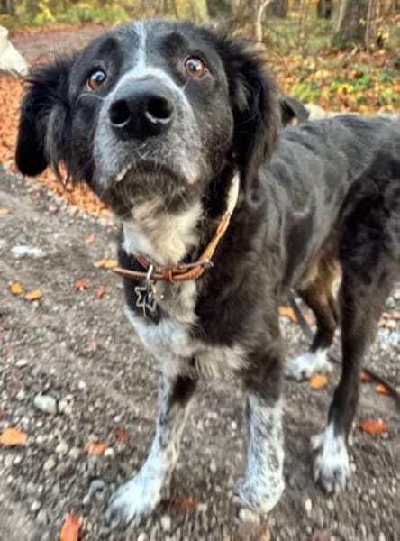 Pina auf der Suche nach Liebe / 82284