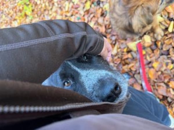 Pina auf der Suche nach Liebe / 82284