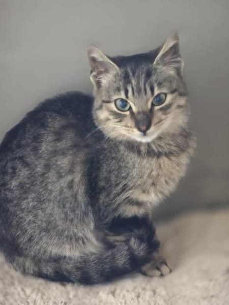 💕Marie💕sucht ihr Glück 💕🐾