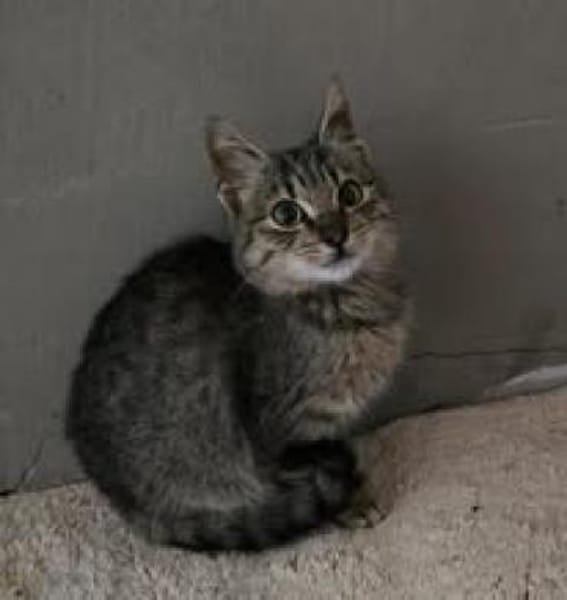 💕Marie💕sucht ihr Glück 💕🐾