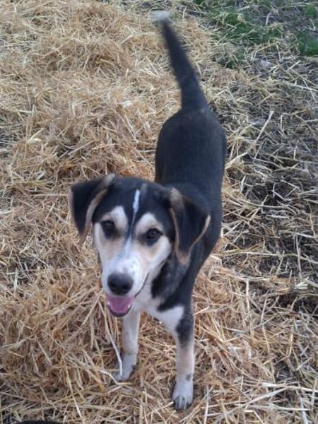 Matti wünscht sich eine Familie