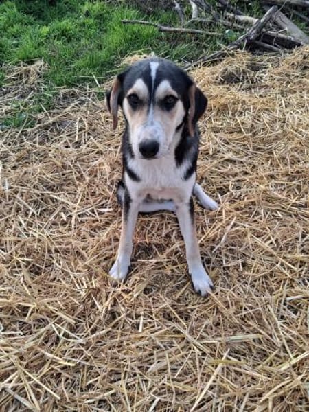 Matti wünscht sich eine Familie